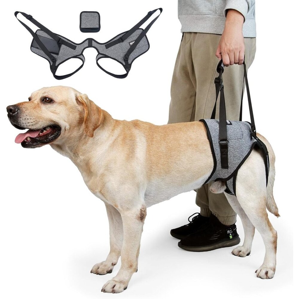 CNEO Dog Lift Harness, Dog Sling/ Support Harness for Back Legs - Size XL